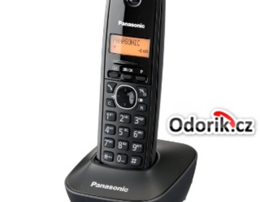 panasonic-kx-tg1611fxh.jpg